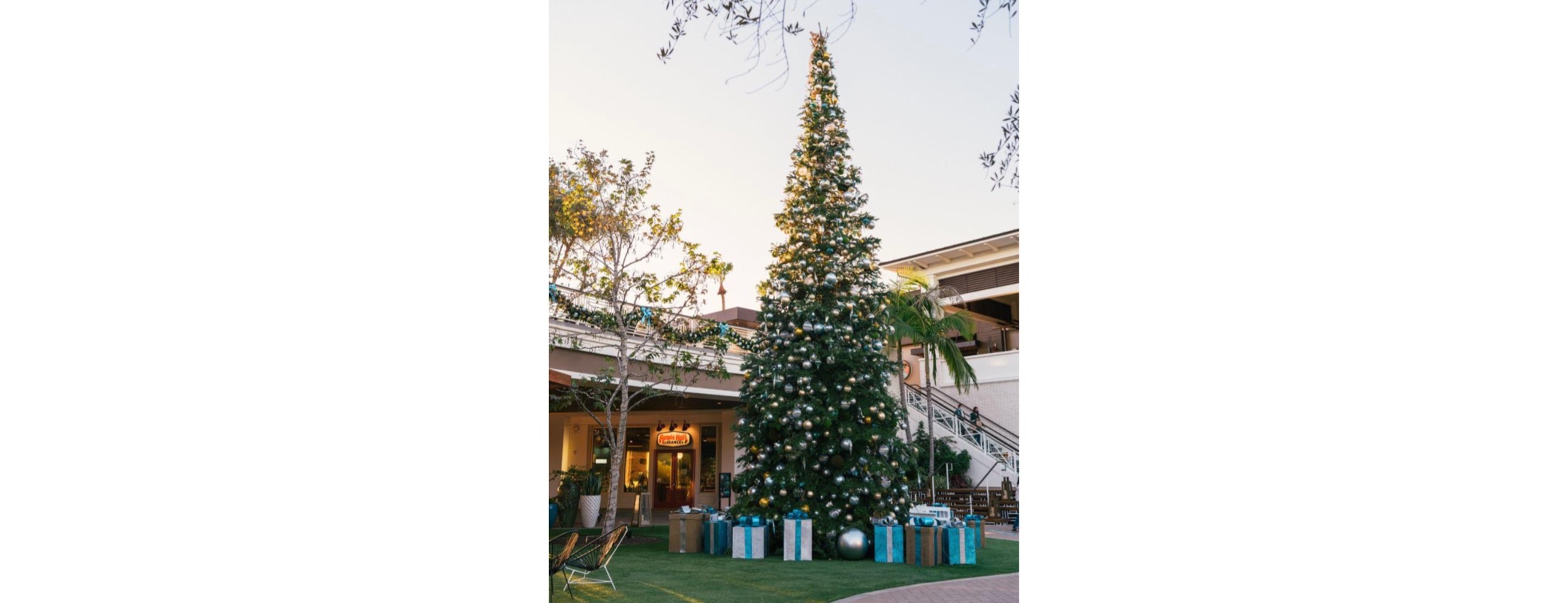 Experience the Magic of the Season with Full Schedule of Holiday Events at 2ND & PCH